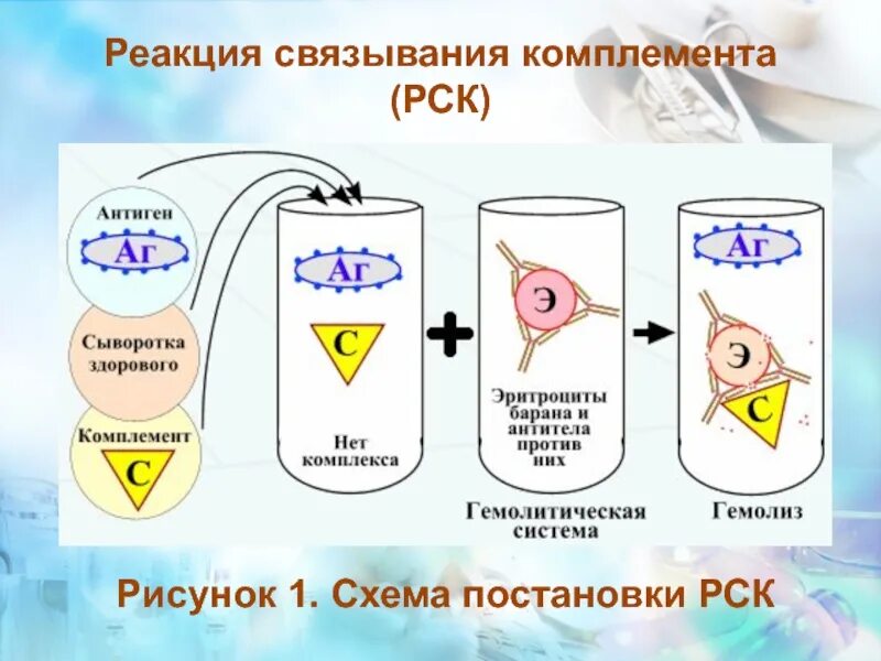 Комплемента рск. Реакция связывания комплемента схема. Реакция связывания комплемента РСК. Схема постановки РСК. Реакция связывания комплемента микробиология.