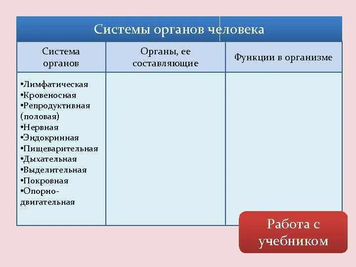 Составляющие функции организация. Нервная и гуморальная регуляция таблица. Основные функции системы органов. Системы органов в организме уровни организации организма. Таблица органов гуморального.