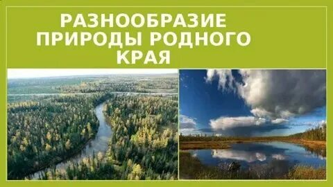 Многообразие без края. Многообразие без края