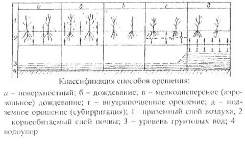 Перечислите виды орошения