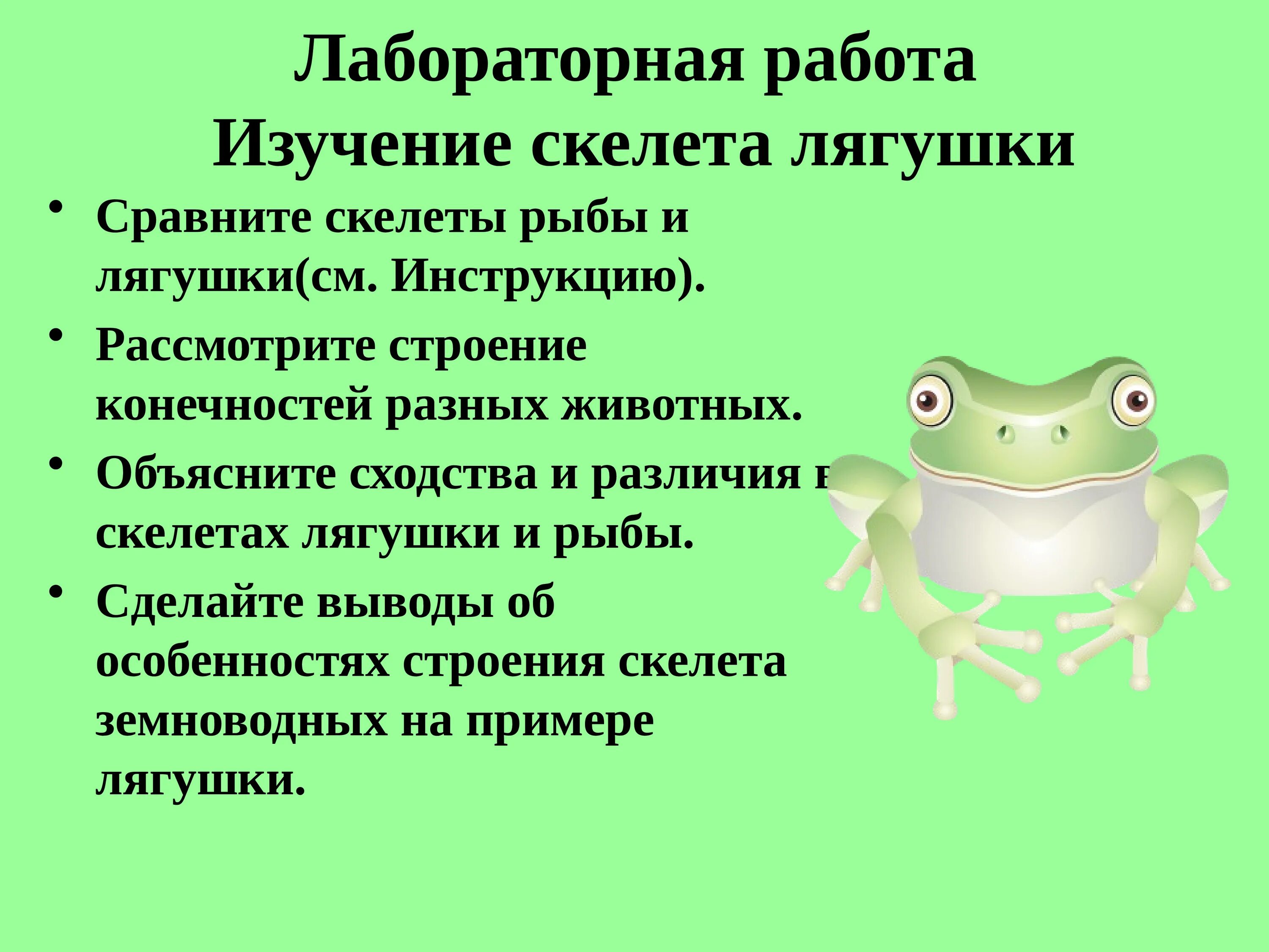 Различие лягушки и рыбы. Лабораторная работа по биологии внутреннее строение лягушки. Лабораторная работа «изучение скелета лягушки». Строение Жабы и лягушки. Лягушка лабораторная работа.