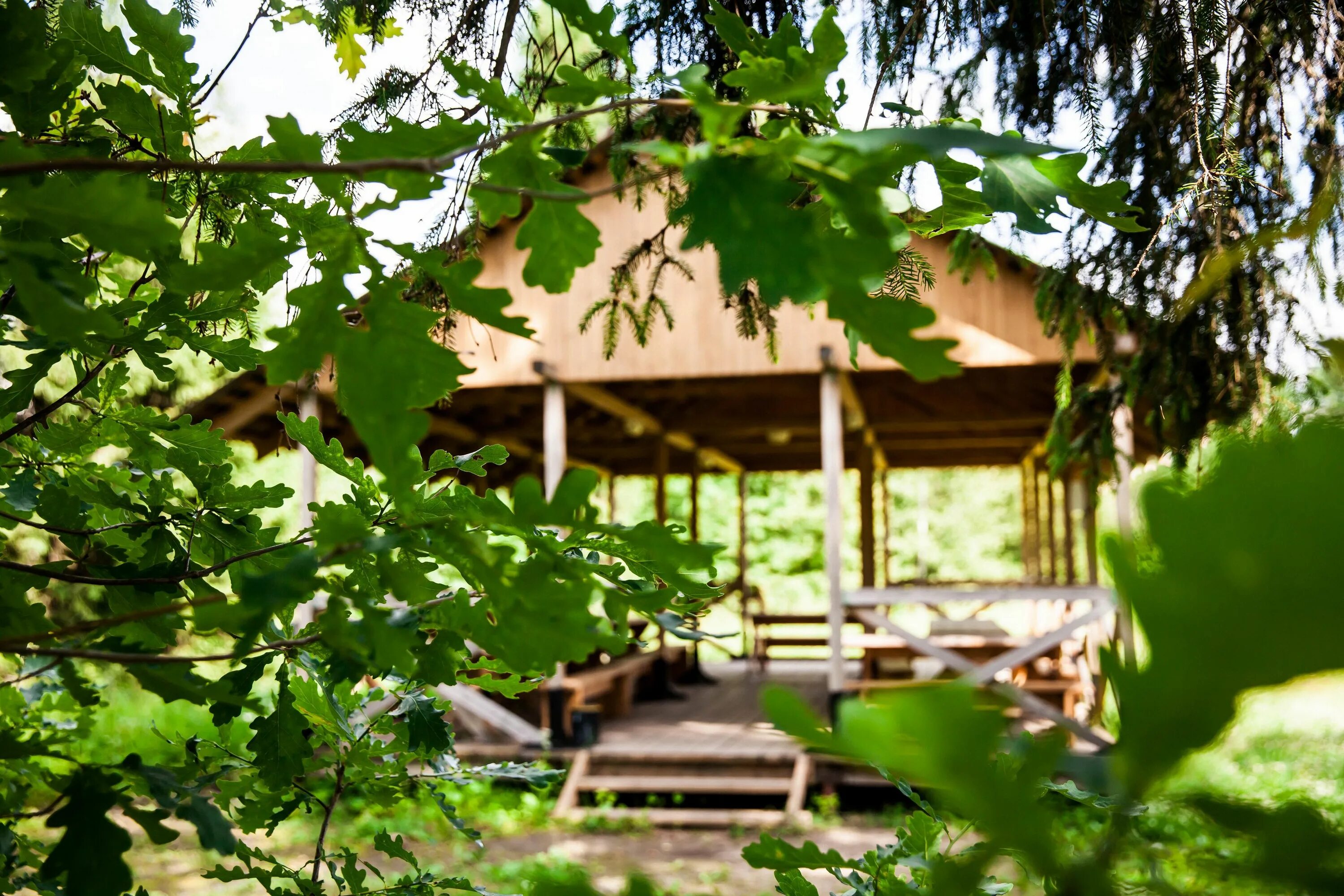 Парк отель абрамцево. Парк отель абрамцево хотьково. Гостиничный комплекс абрамцево. Абрамцево сергиев посад отель. Номер абрамцево.