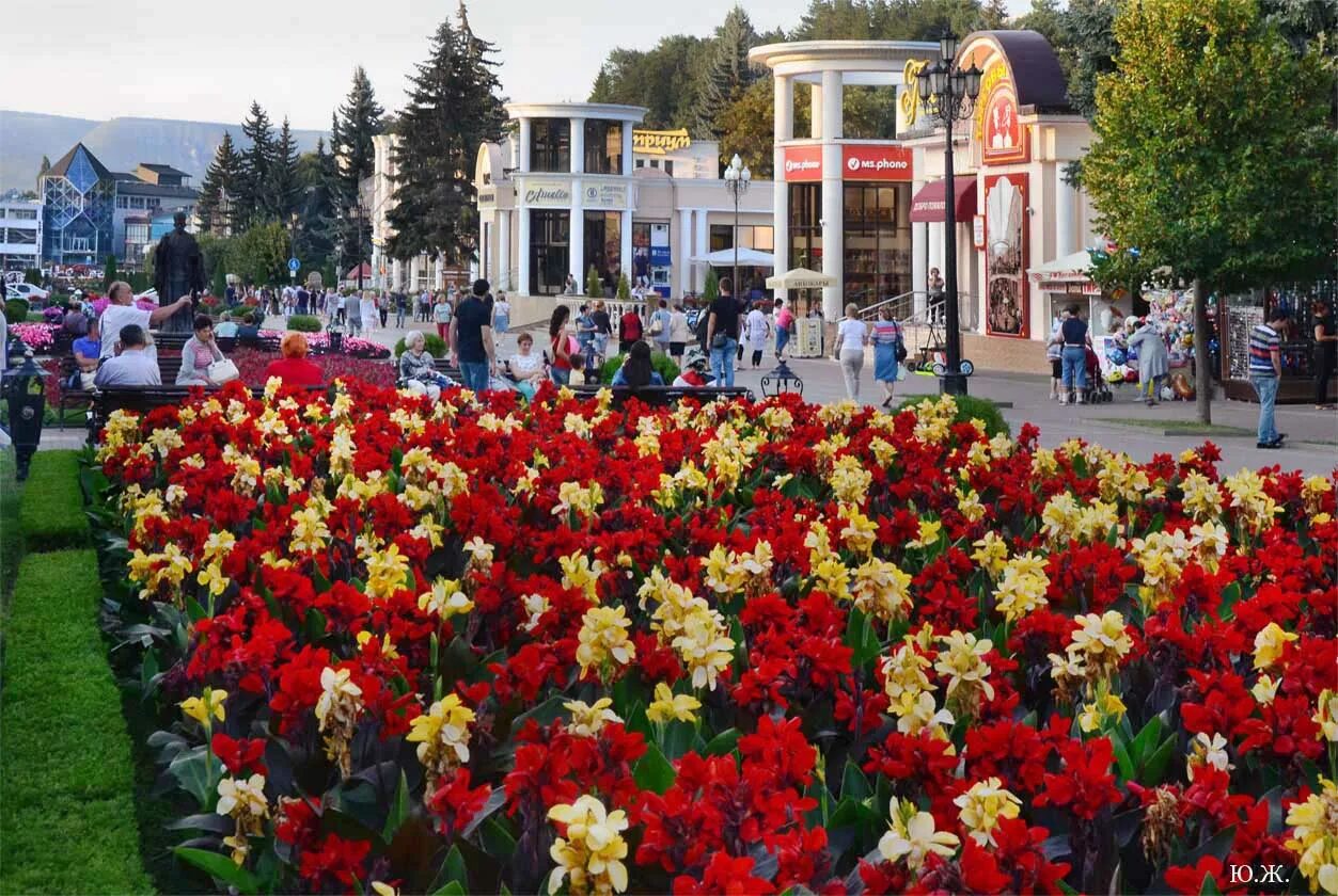 Кисловодск в мае отзывы. Город Кисловодск Долина роз. Курортный бульвар Кисловодск розы. Аллея роз Кисловодск. Кисловодск Долина роз сейчас.