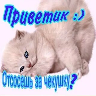 Малышка ну как дела