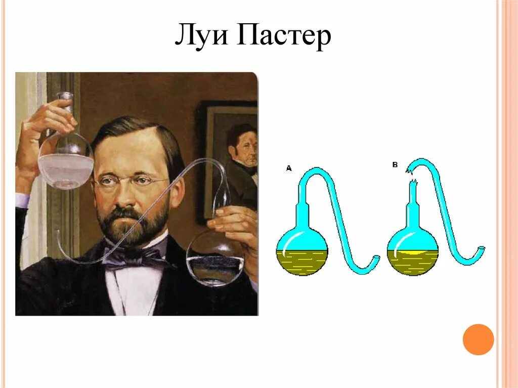 Годы жизни луи пастера. Луи пастер микробиолог. луи пастер вклад в биологию опыт. луи пастер портрет. луи пастер брожение.