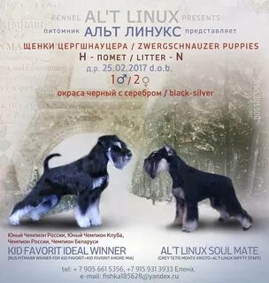 Pantum альт линукс