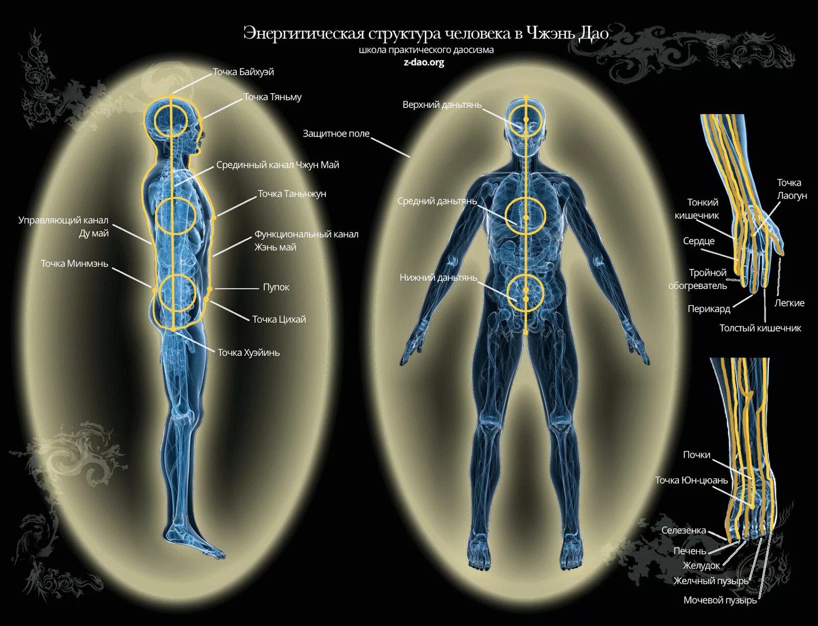 13 точка человека. Цигун меридианы тела человека. Энергетические каналы и меридианы. Энергетические каналы человека (меридианы). Энергетические каналы цигун.