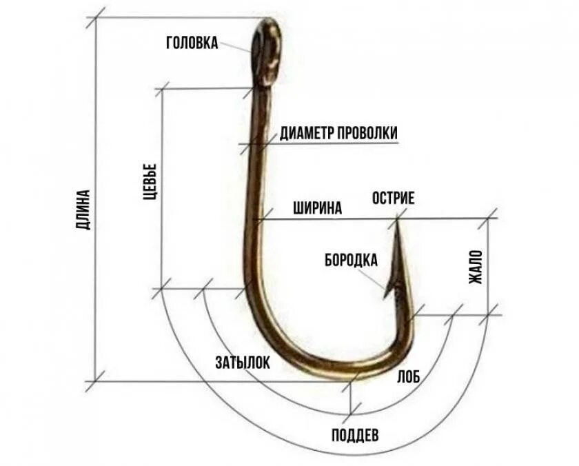 Крючки для ловли карася. Строение рыболовного крючка. Правильный крючок на карася размер. Крючки рыболовные Размеры. Номера крючков для рыбалки на карася.