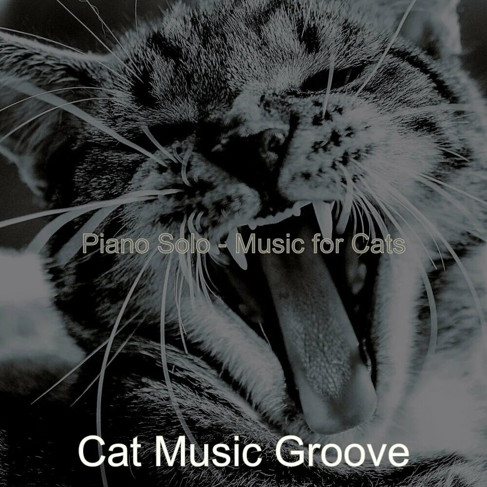 Groove cats once in a. Беби тайм groove cats. groove cats once in a lifetime groove. кэт грув. baby time groove cats once in a lifetime groove 2006.