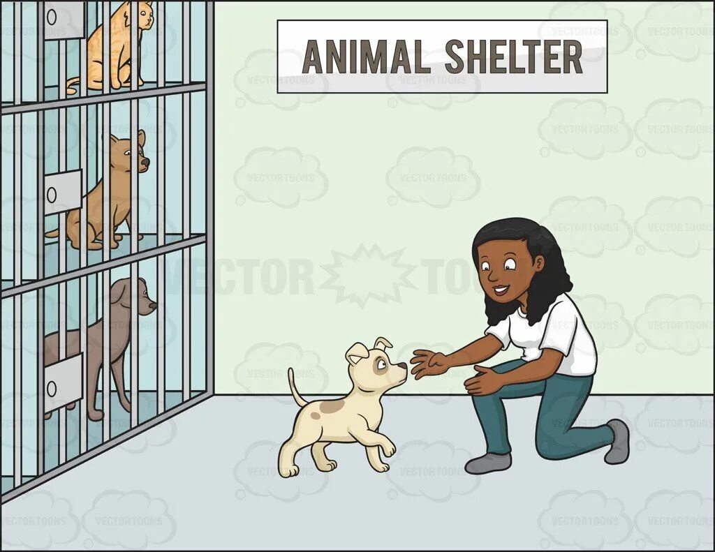 Some animals go to a shelter