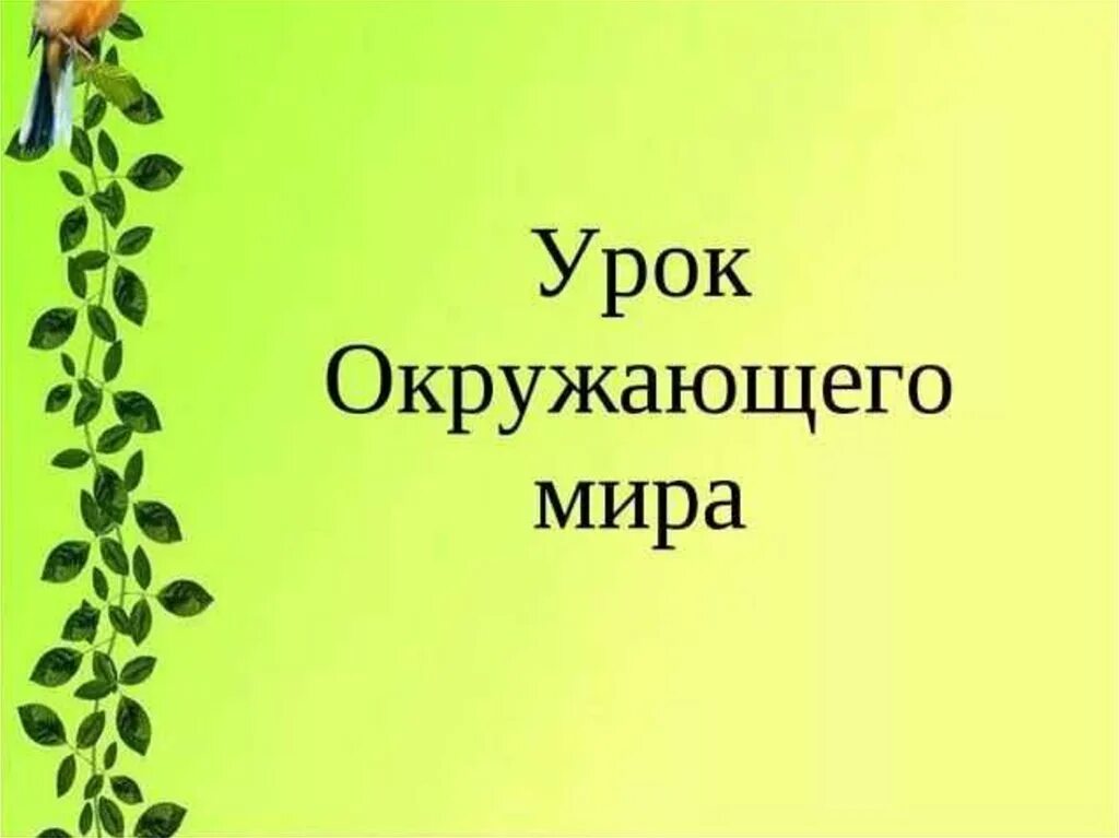 Презентация урока окружающий мир 1 класс. Урок окружающий мир. Окружающий мир презентация.