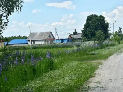 Село можно показать