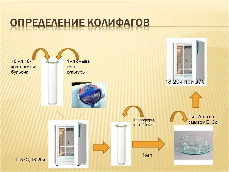 Методы санитарная микробиология исследование воды. Определение колифагов в питьевой воде. Методы определения колифагов в питьевой воде. Схема исследования воды. Микробиологический анализ питьевой воды санитарный