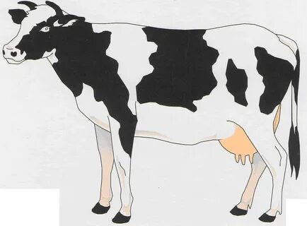 Онлайн BBW порно