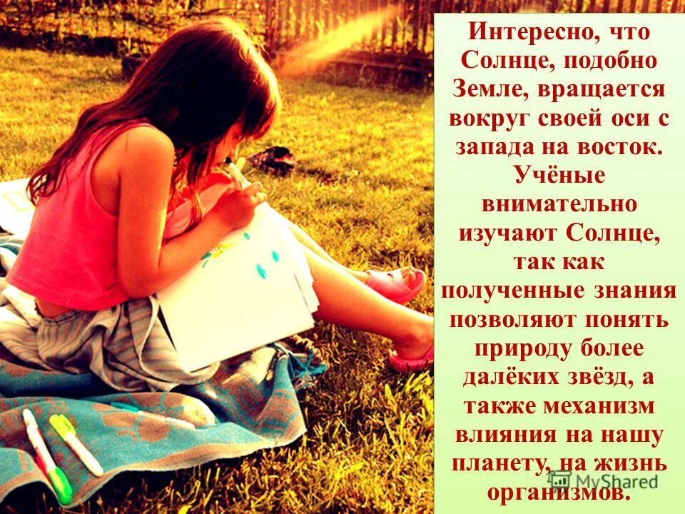 солнечный цветок. солнце не светит. солнце не знает правых солнце. солнечный подобно. солнечный подобно.