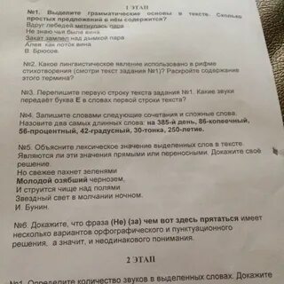 М текс