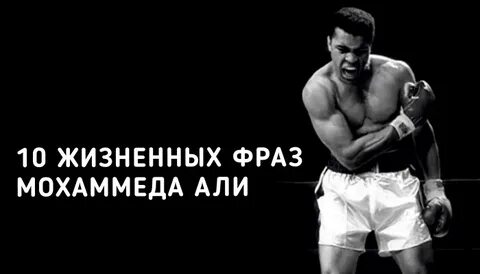 Сборник изречений мухаммеда и рассказов очевидцев