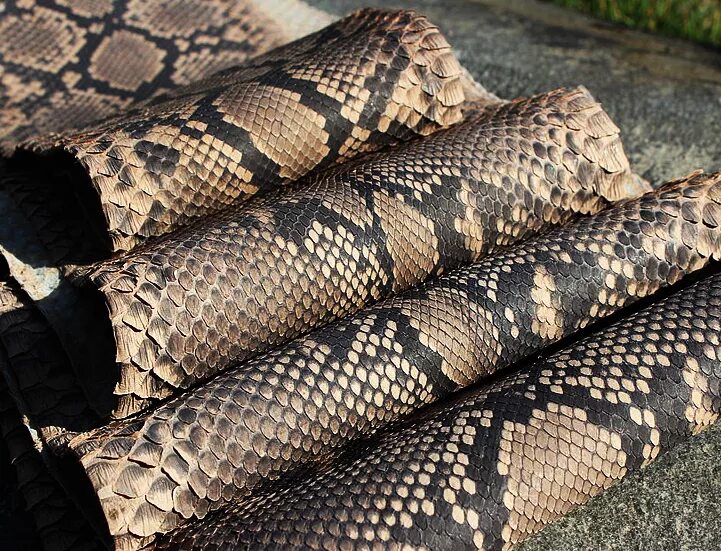 Python leather