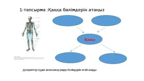 Ер адамның қынапта каммингінің видеосы