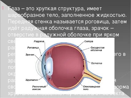 Глаз имеет