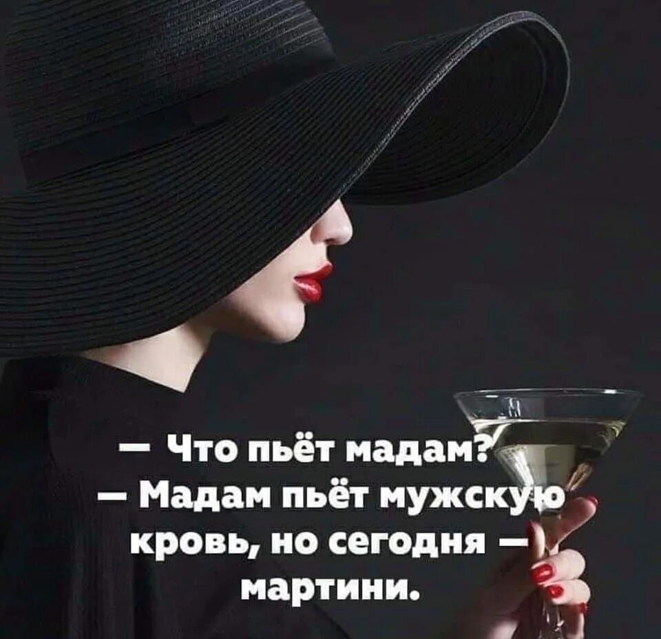 Выражение шляпа
