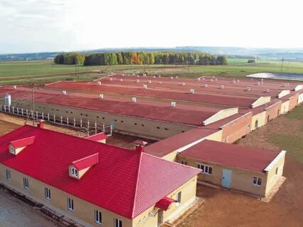 Агрофирма г