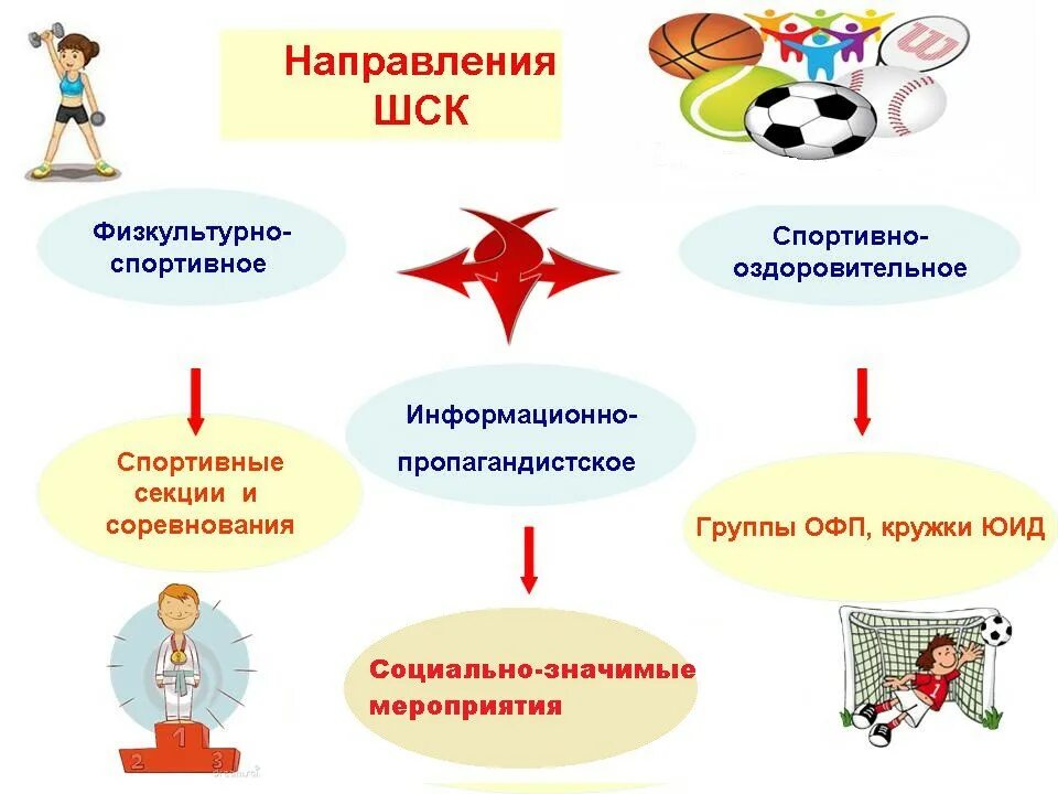 Структура работы школьного спортивного клуба. Формы работы школьного спортивного клуба. Направления школьных спортивных клубов. Направления спортивной работы в школе.