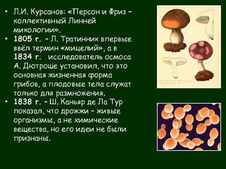 Наука которая изучает грибы. Микология презентация. Микология это наука. Микология это в биологии. Микология это кратко.