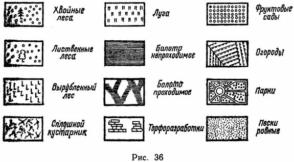 Обозначения леса на карт