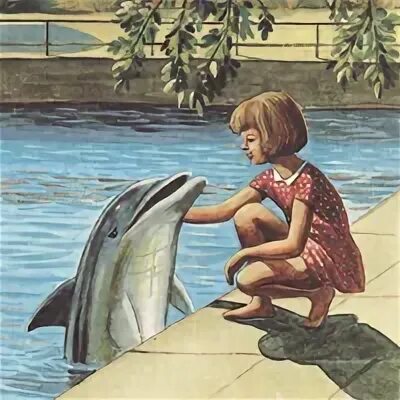 Девочка и дельфин с. Девочка и дельфин с. Девочка и дельфин книга. Девочка и дельфин с. Рассказ девочка и дельфин.