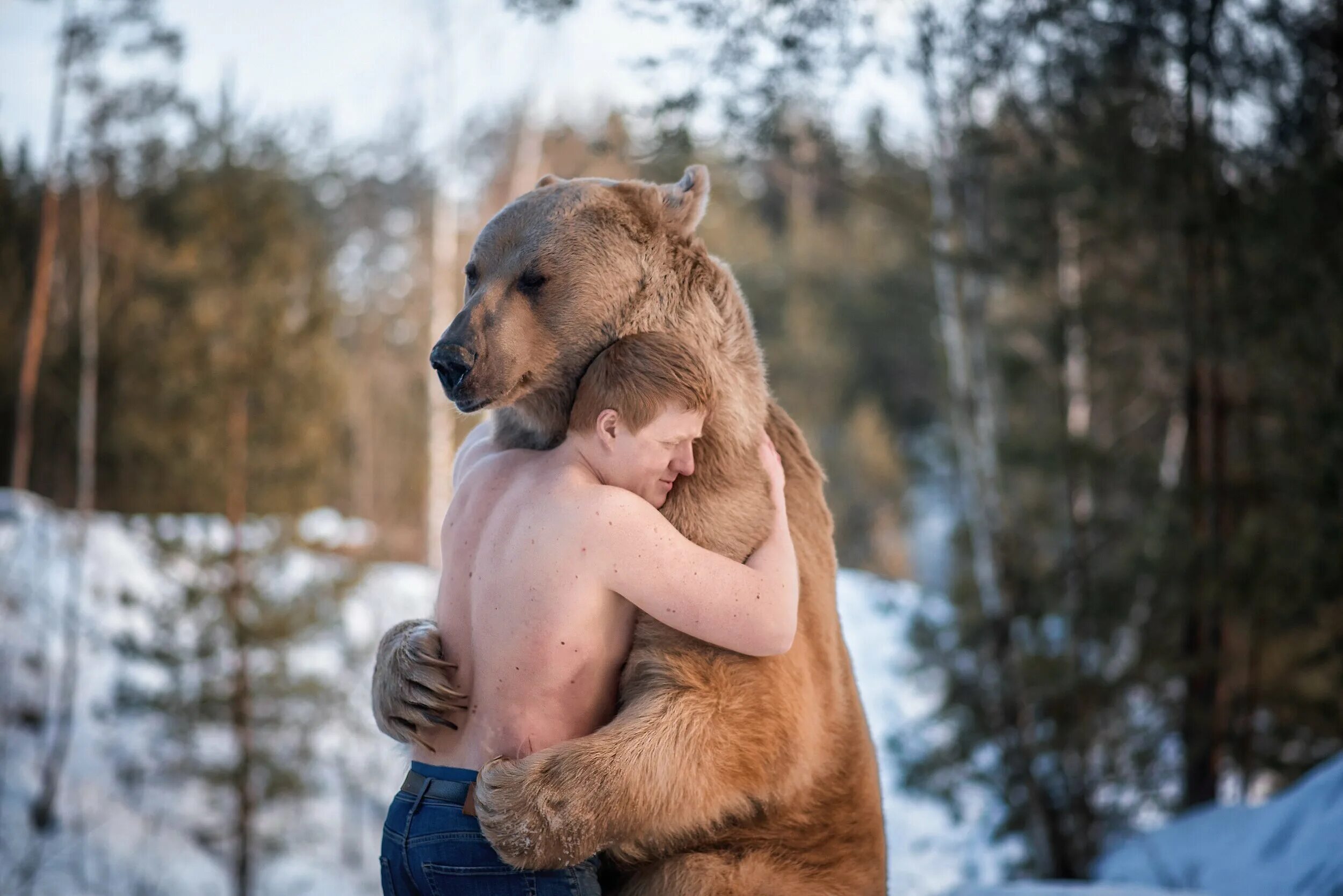 Парни в обнимку с медведем. Медведь обнимает мужика. Фотосессия с медведем. Мужчина обнимается с медведем.