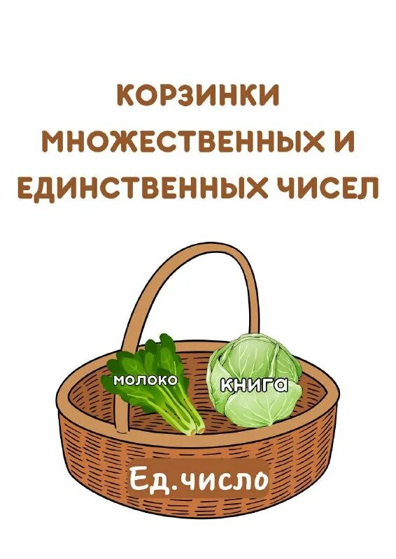 Слова единственного числа и множественного числа. Слова имена существительные в единственном числе. Кабель множественное число. Child множественное число. Слова в единственном и множественном числе.