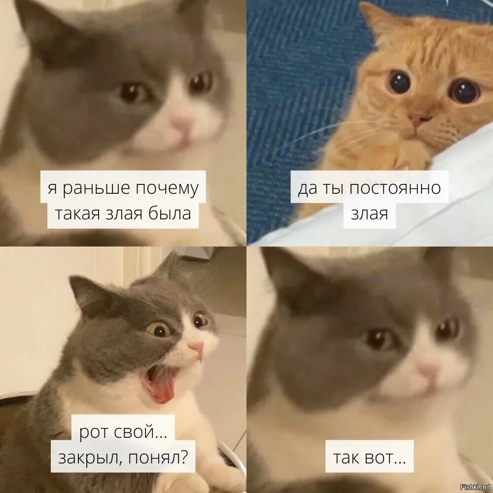 Почему не раньше не понимаешь