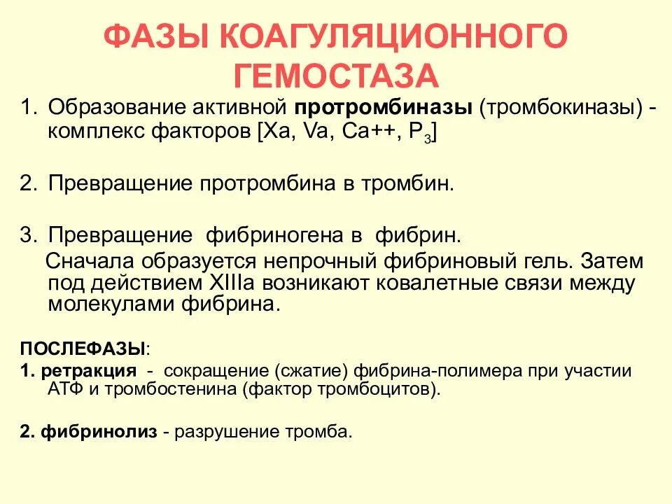 Программа биохимия