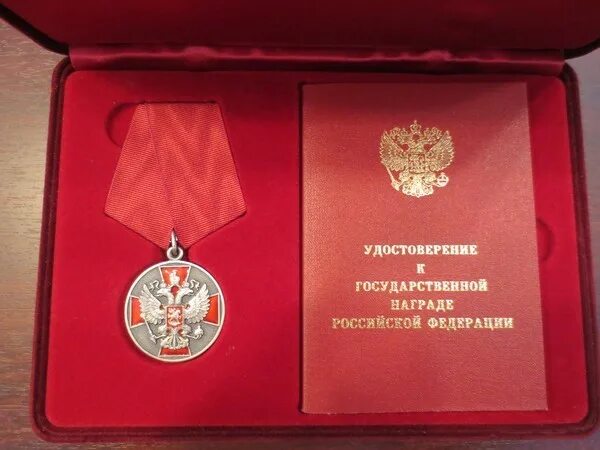Спицын награда. Медаль за заслуги перед Отечеством 2 степени с мечами. Медаль ордена за заслуги перед Отечеством 2 с мечами.