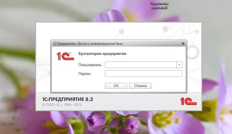 Авторизация в 1с предприятие 8.3. Окно авторизации 1с. 1с окно входа. Окно базы 1с. Авторизация 1.16