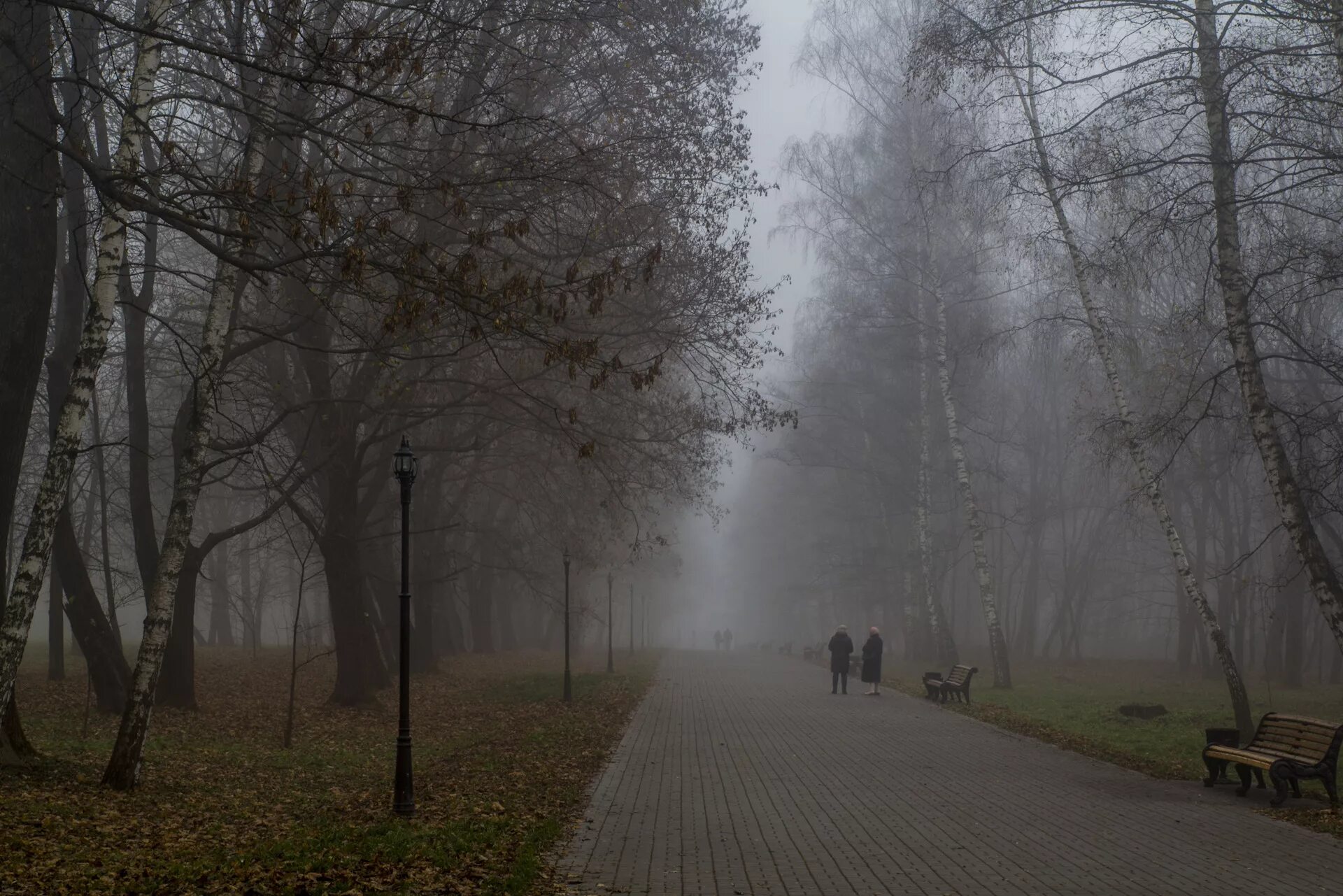 Осенний туман в городе