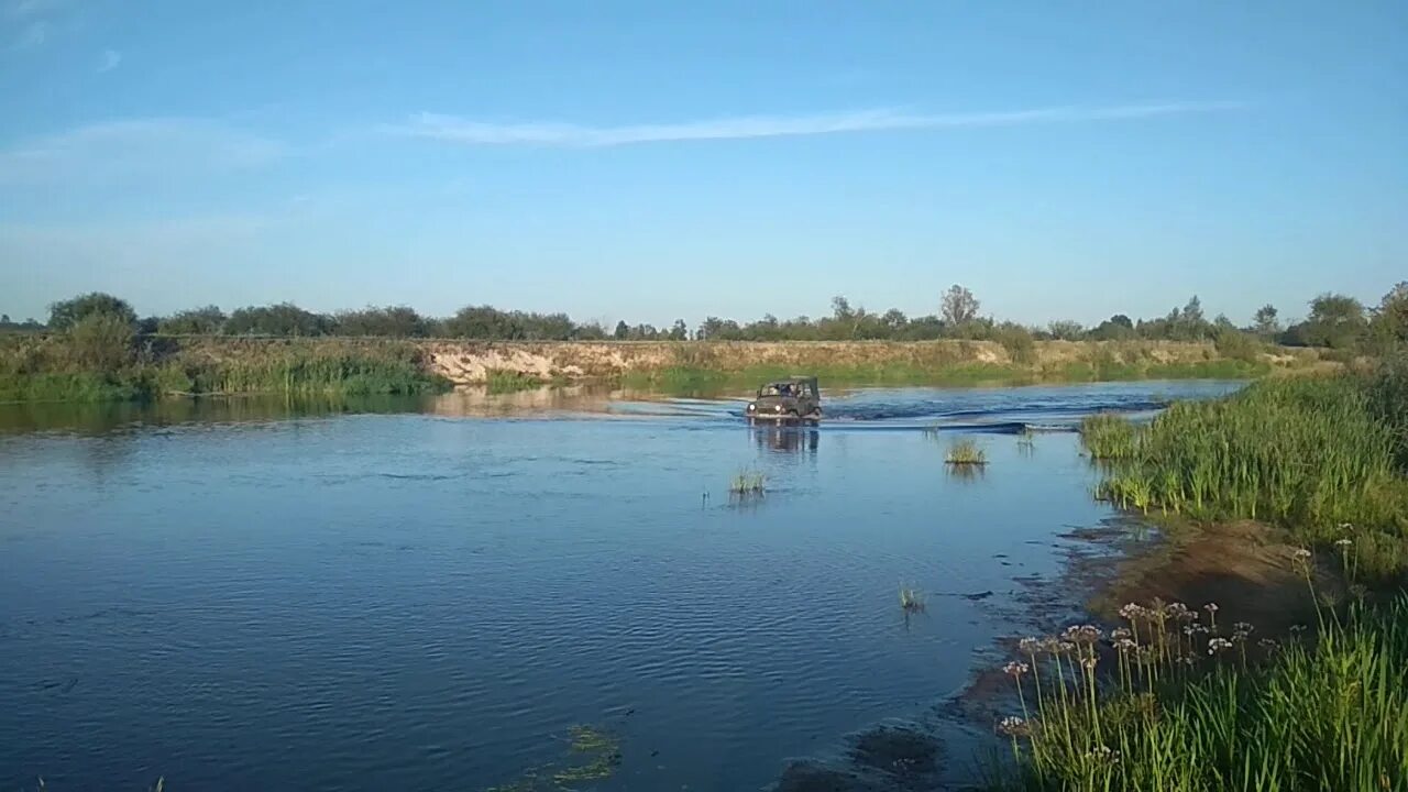 Уровень воды в реке ипуть в добруше. Река Ипуть Брянская область. Исток реки Ипуть. Сураж Ипуть. Река Ипуть Вышков.