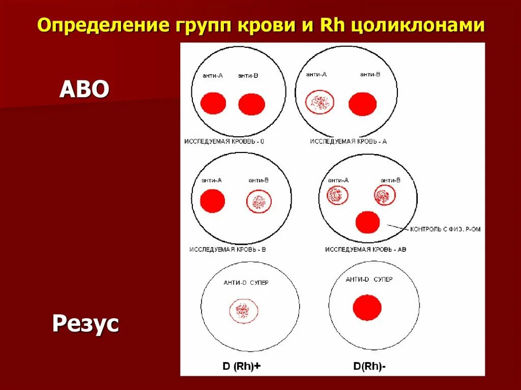 Группа крови подготовка