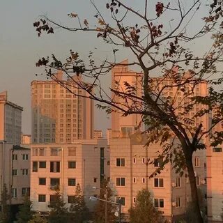 Эстетик место