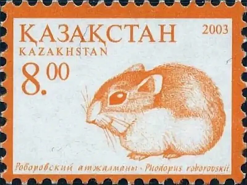 Код в хомяке 23. Код в хомяке 23