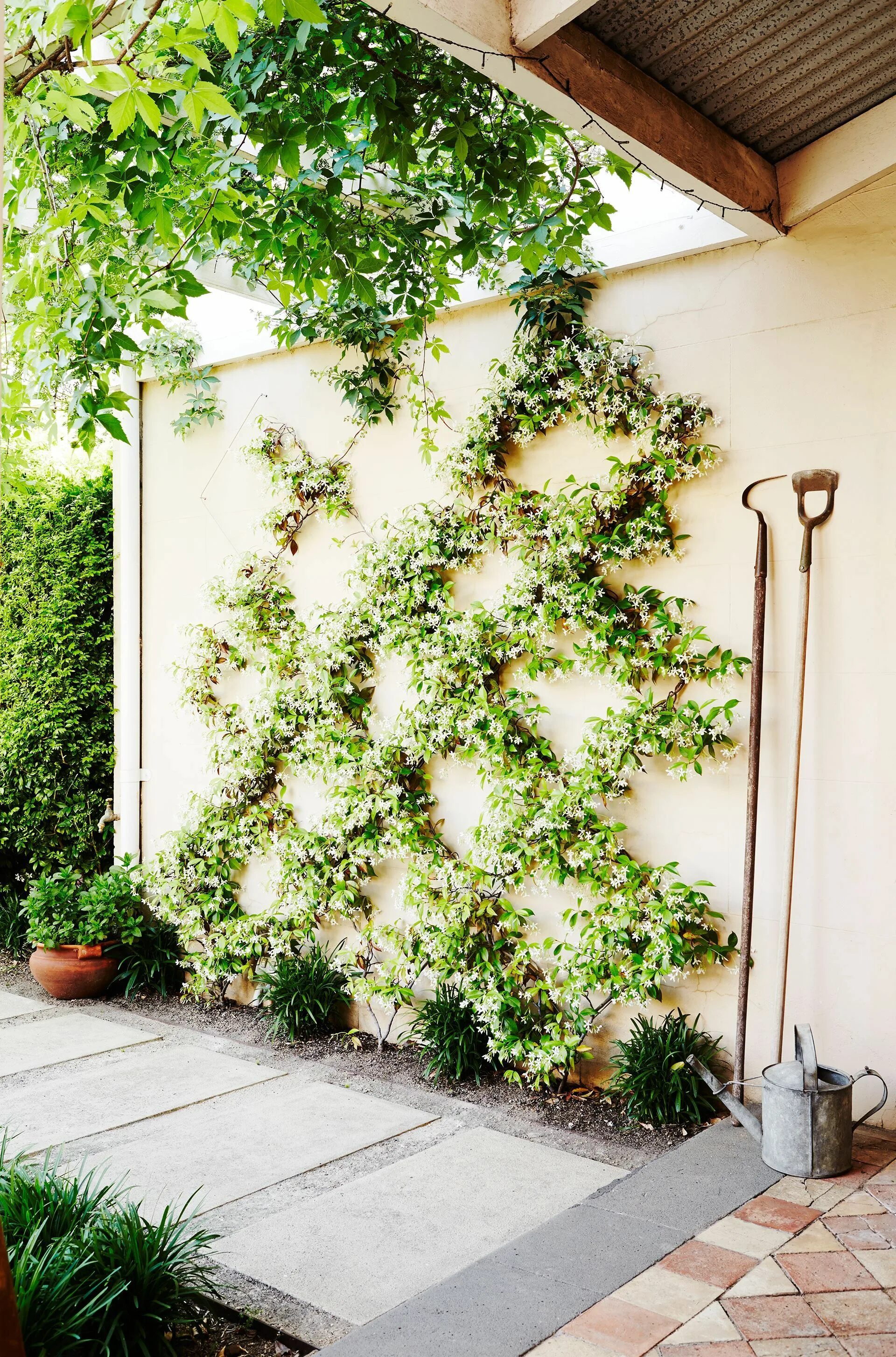 Façade végétale Jardines verticales, Jardineria vertical, Jardines