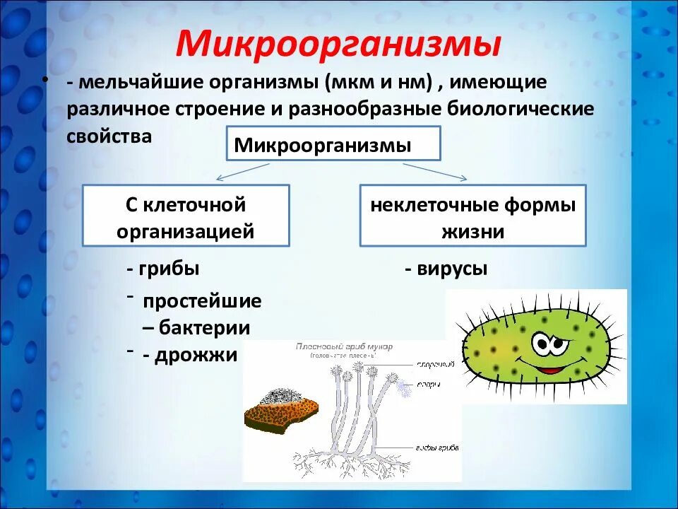 Бактерии вирусы грибы простейшие. Бактерии это неклеточная форма жизни. Вирусы неклеточные формы жизни. К микроорганизмам относят.