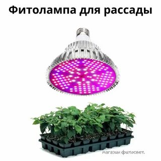 Как называется лампа для рассады