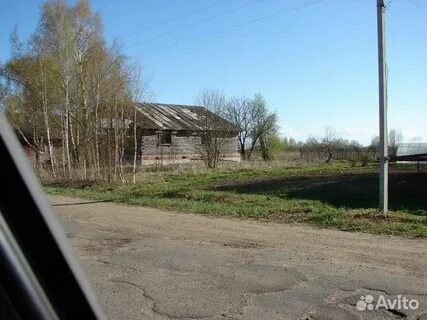 Авито яр обл