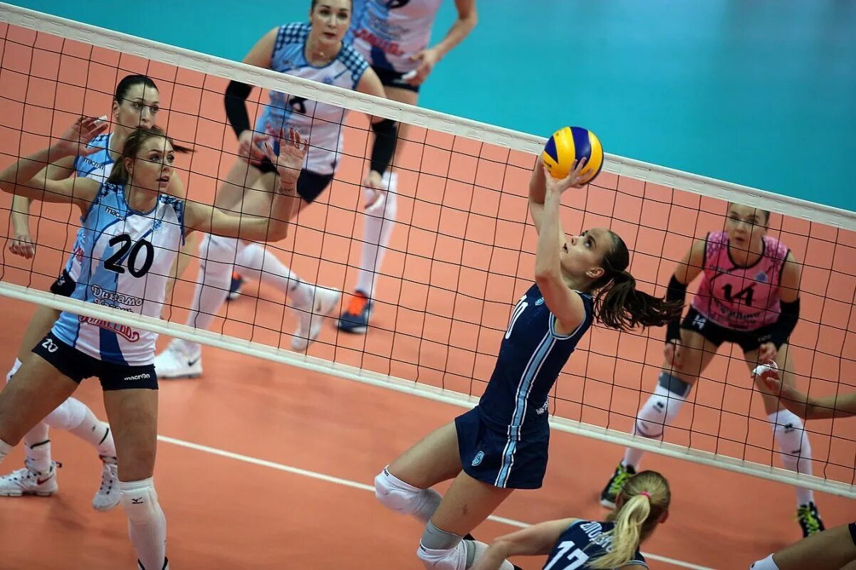 спорт волейбол. игры волейбол девушки. игры волейбол девушки. стефания сансонна волейбол. игры волейбол девушки.