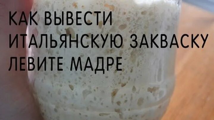 Рецепты хлеба на закваске левита мадре. Закваска Левито Мадре. Закваска Левито Мадре рецепт. Хлеб на закваске Левито Мадре. Выведение закваски для хлеба.