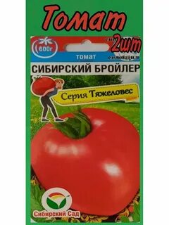 Томат сибирский бройлер