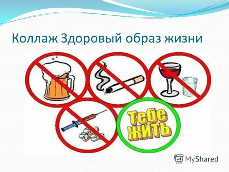 Тема здоровый образ жизни. Коллаж здоровый образ жизни. Коллаж на тему здоровый образ жизни. Коллаж за здоровый образ жизни.