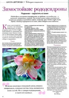 Подкормка рододендронов осенью